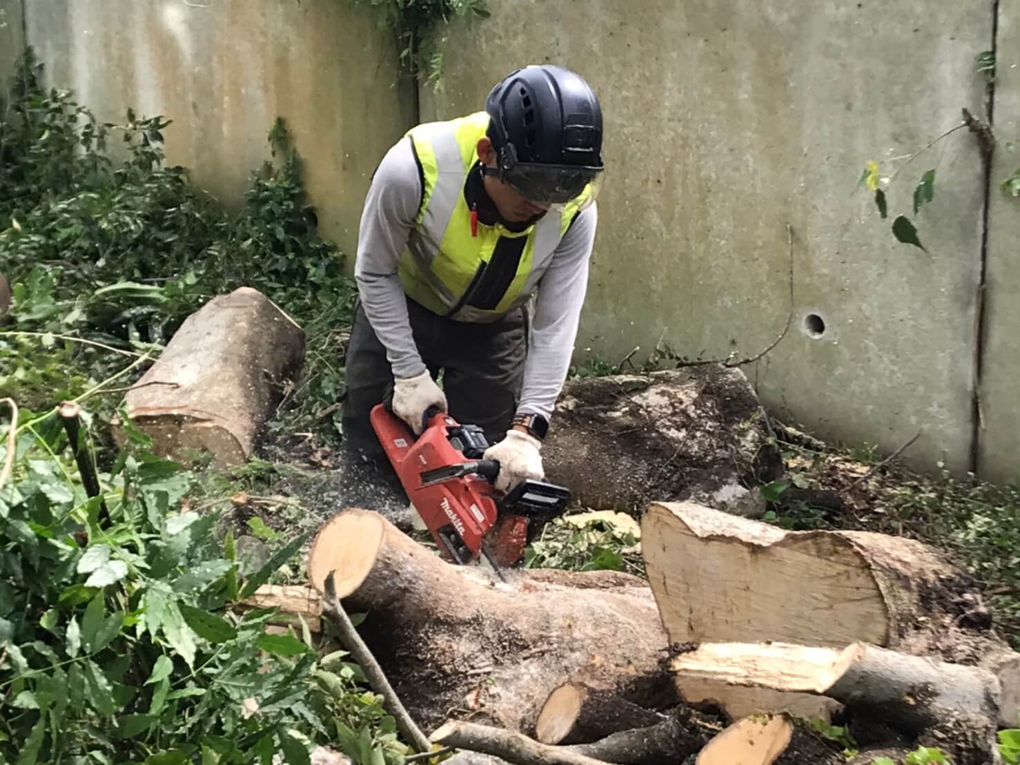 切った枝葉や幹は搬出はせず現地にて集積を行うため、小さめにカットして綺麗に整頓。